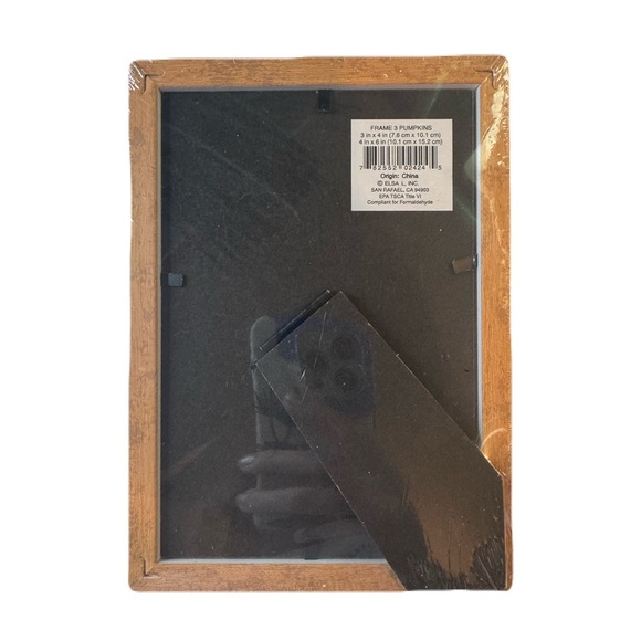 Pumpkin Picture Frame - Picture 3 of 4